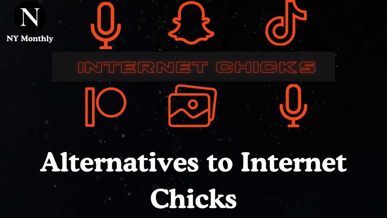 Alternatives to Internet Chicks